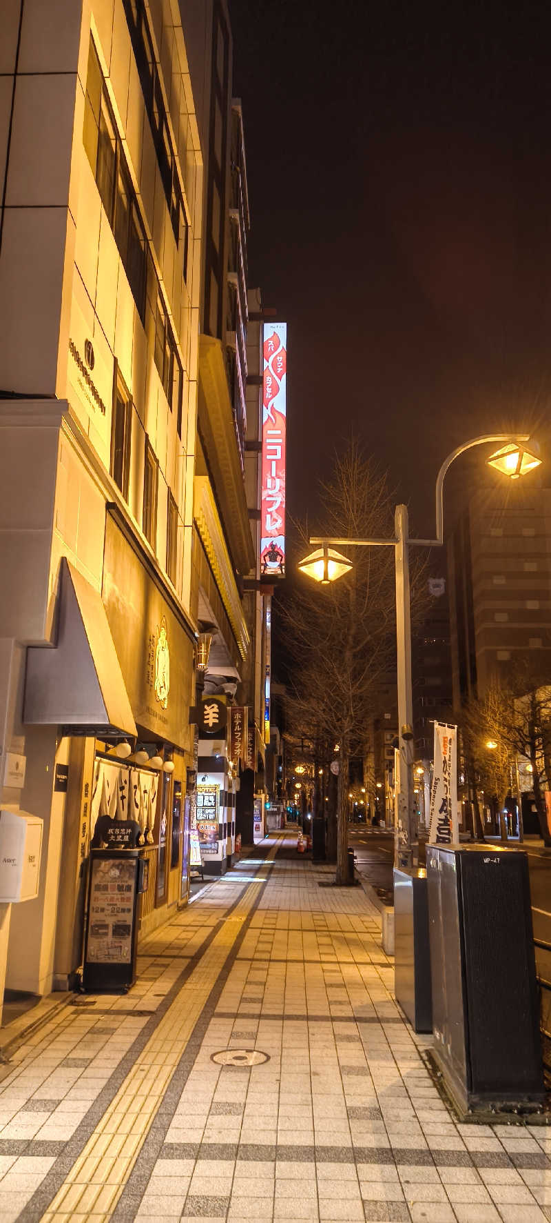 ショーゴ　オキクルミさんのニコーリフレ SAPPOROのサ活写真