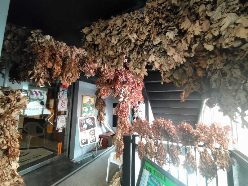 ツキオカさんの天空のアジト マルシンスパのサ活写真