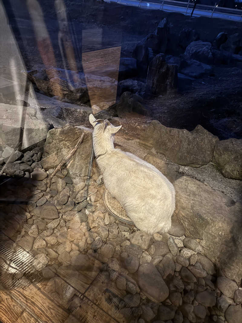 たけけぼっち風呂さんの花湯スパリゾートのサ活写真