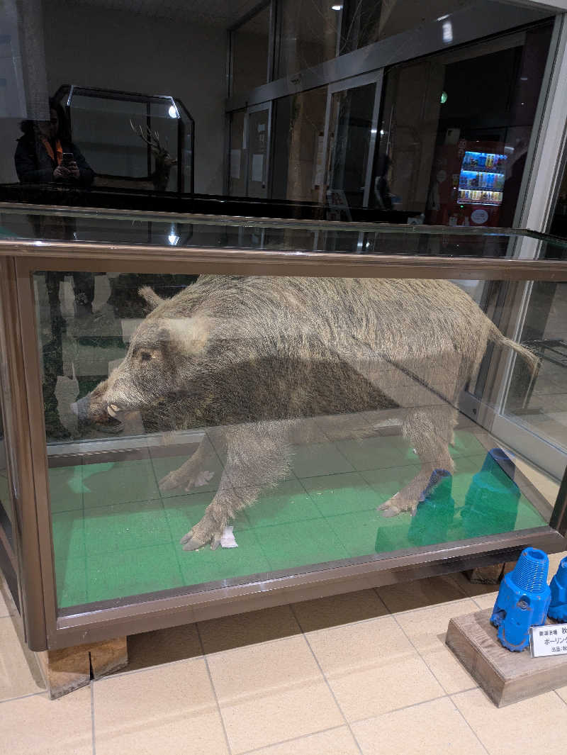 やまさんさんの秋山温泉のサ活写真