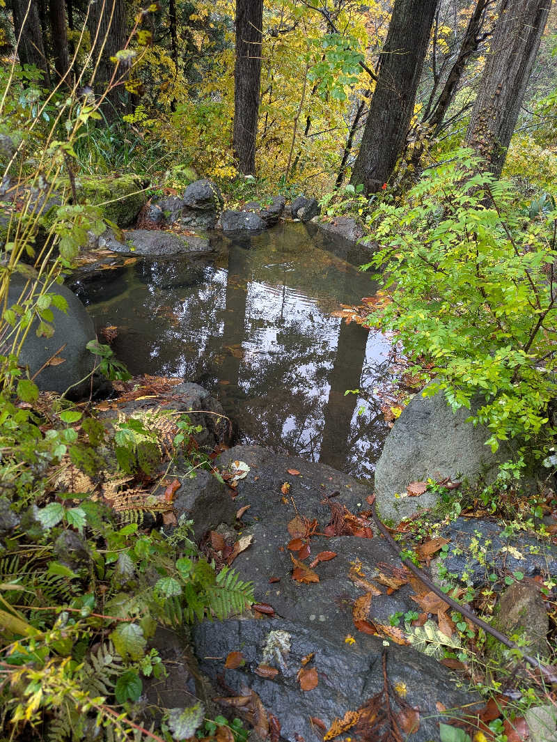 やまさんさんのレヴォ Cuisine régionale L'évoのサ活写真