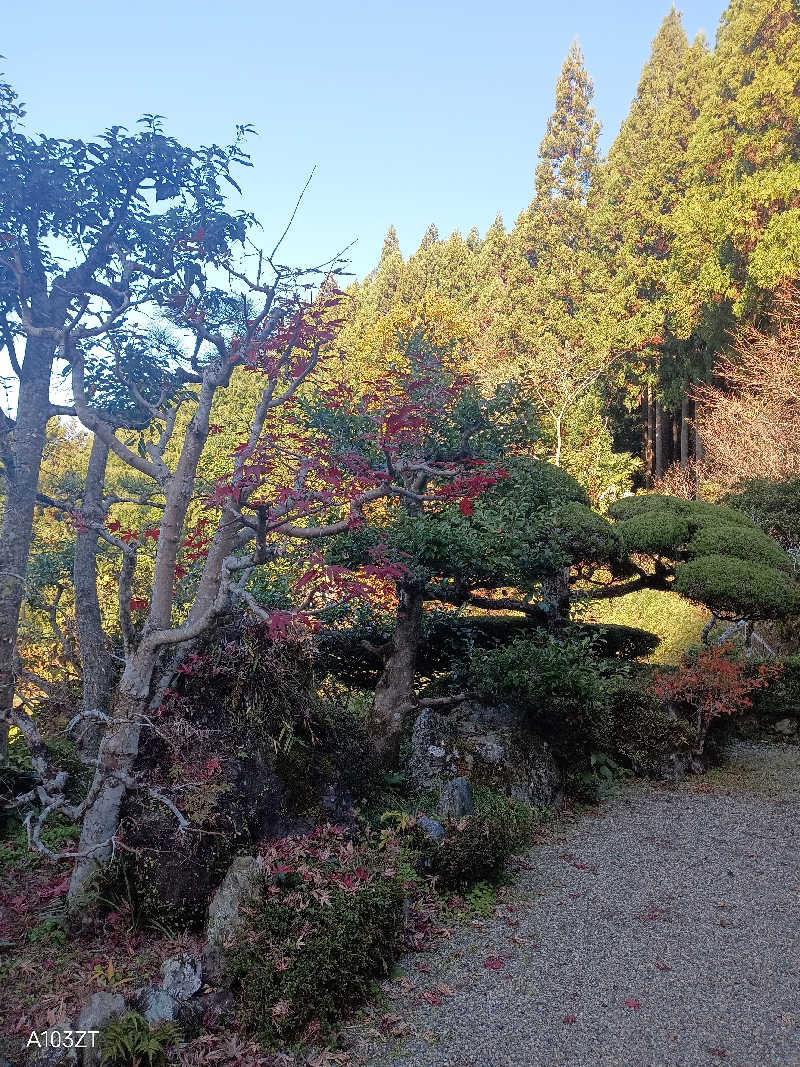 いずみんさんの紀美野サウナ&ホテルのサ活写真