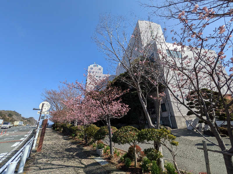 くっきーほたてさんの駿河健康ランドのサ活写真