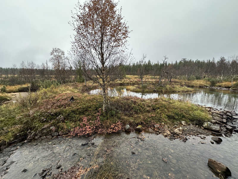 yahaさんのSuomen Latu Kiilopää/Fell Centre Kiilopääのサ活写真