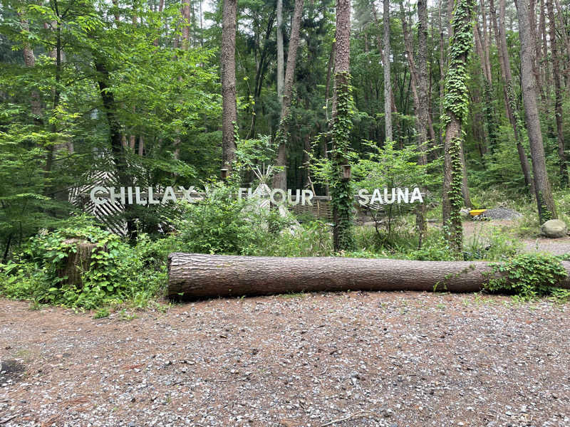 サめぐさんのFOLKWOOD SAUNAのサ活写真