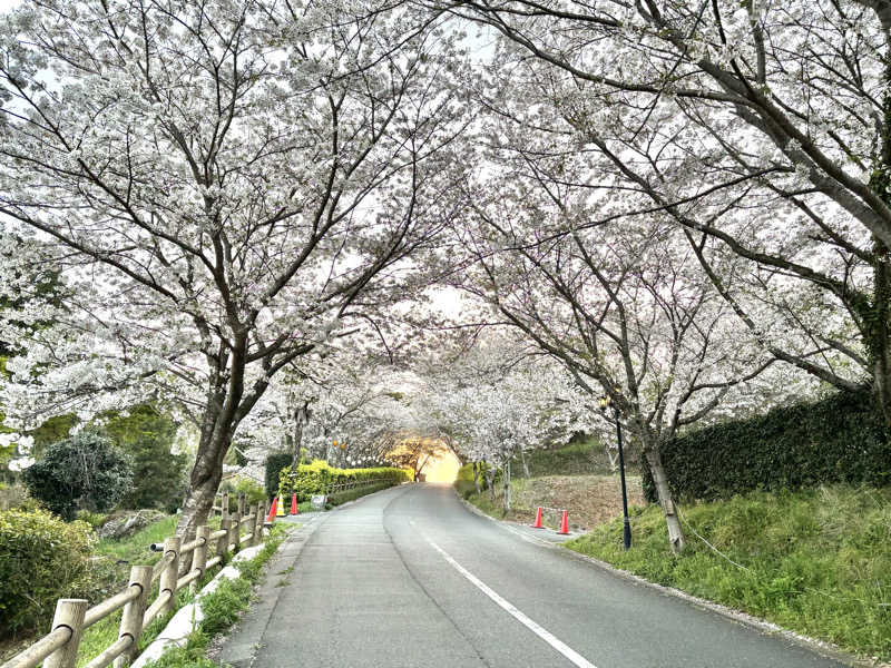 はちまるさんのカルナパーク花立山温泉のサ活写真