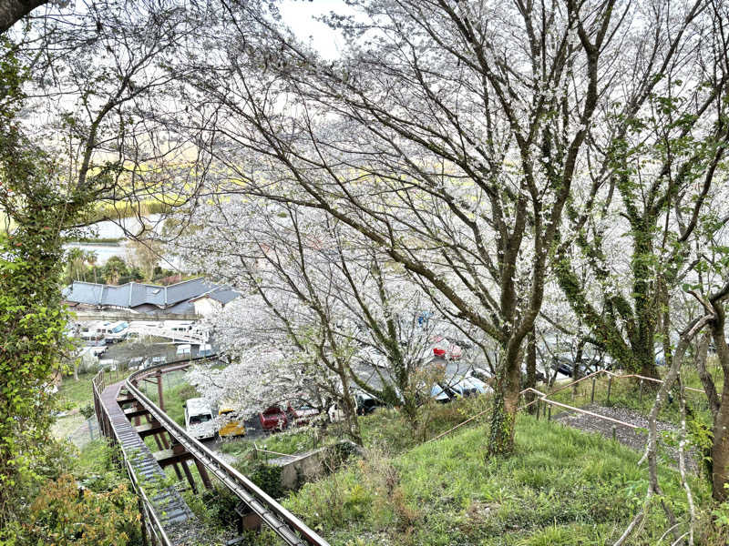 はちまるさんのカルナパーク花立山温泉のサ活写真