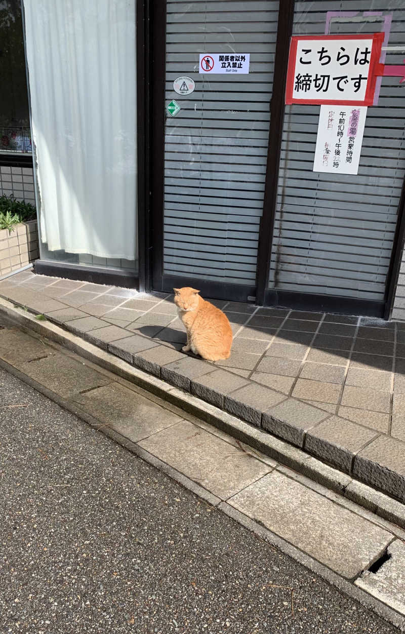 サいこーさんの美川温泉 やすまる(安産)の湯のサ活写真