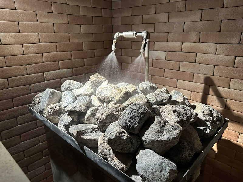 タケお｜新潟のサウナYouTuberさんの川中島温泉テルメDOMEのサ活写真