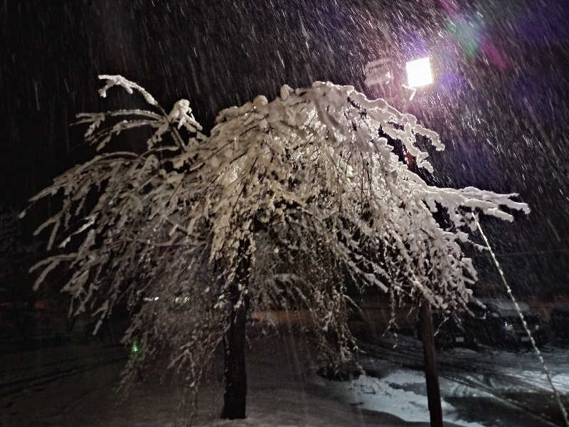 KTRさんの水沢温泉館のサ活写真