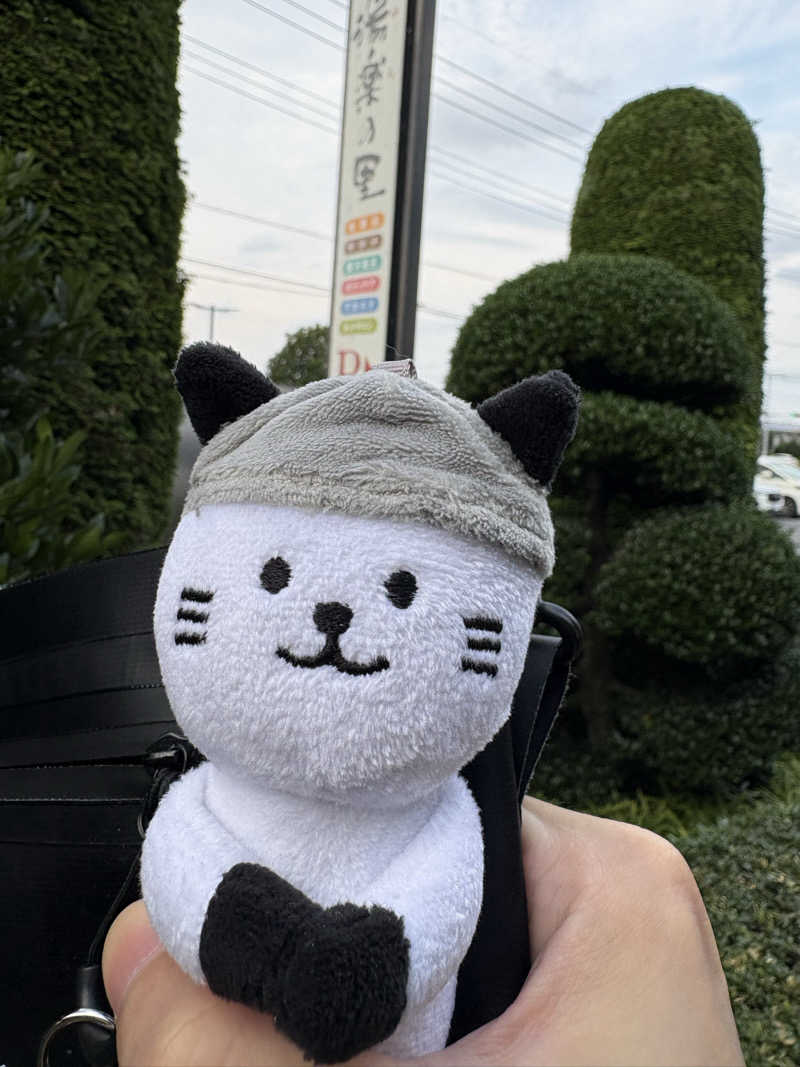 はらさんさんの湯楽の里 伊勢崎店のサ活写真