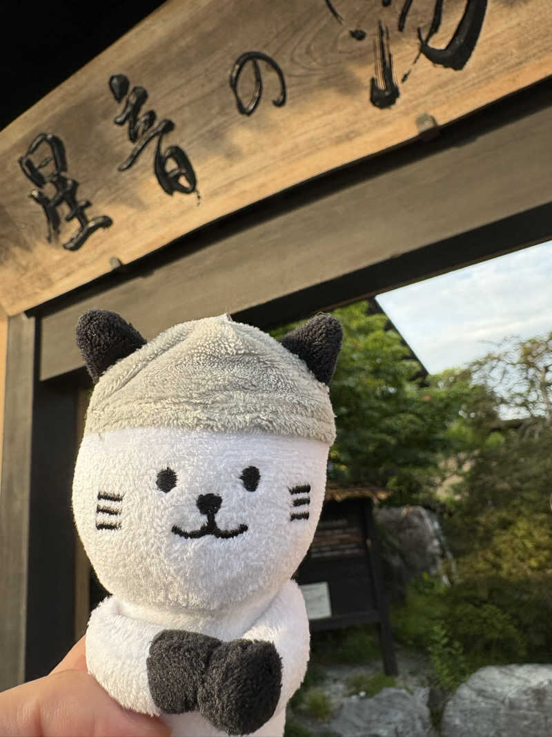 はらさんさんの天然自家源泉 星音の湯のサ活写真