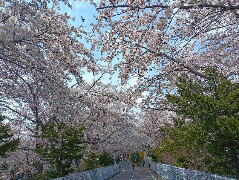 ゆかさんの北のたまゆら 厚別のサ活写真