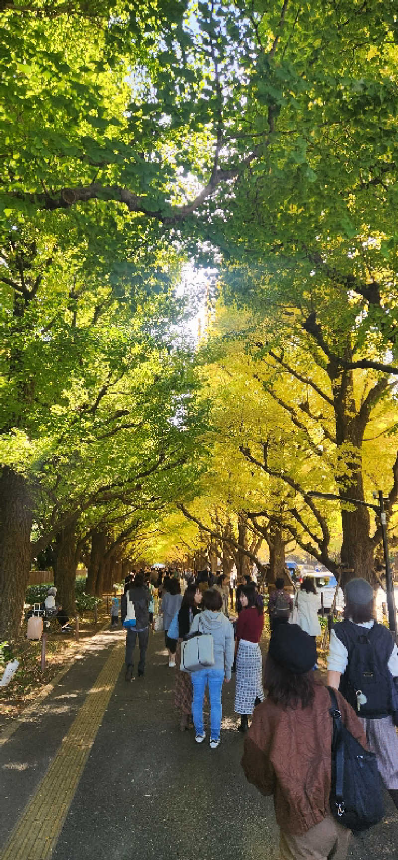 やっちんさんのTOTOPA 都立明治公園店のサ活写真