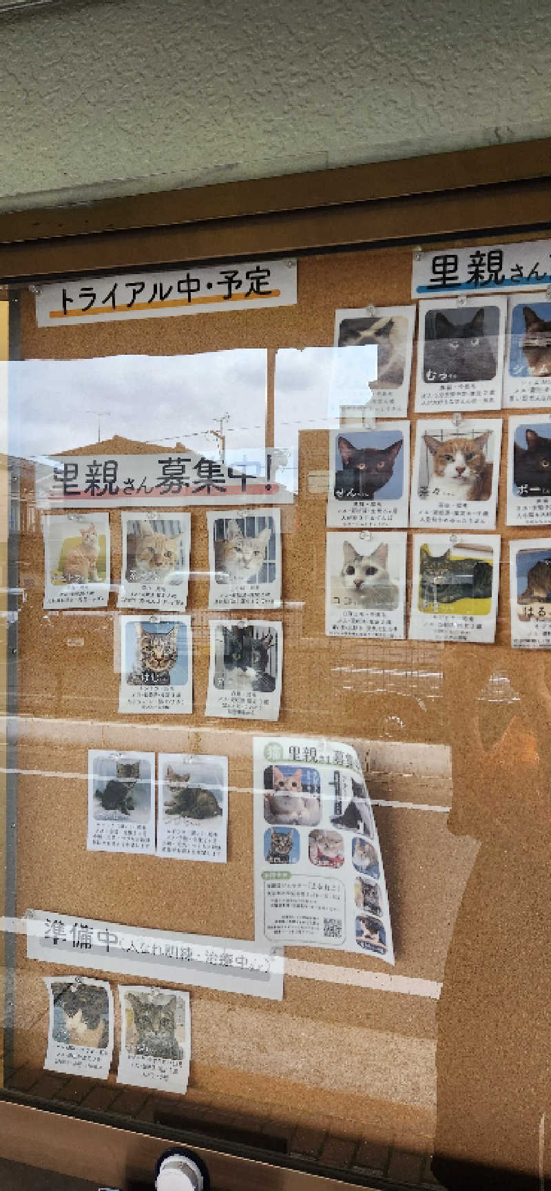 やっちんさんの重の湯のサ活写真