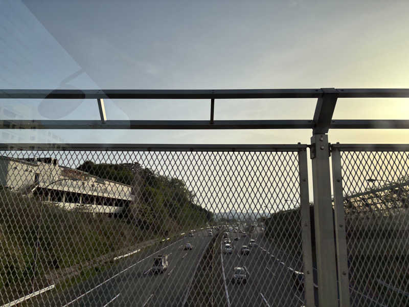 ゆき🍄さんのヨコヤマユーランド緑のサ活写真