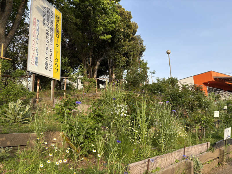 ゆき🍄さんのヨコヤマユーランド緑のサ活写真