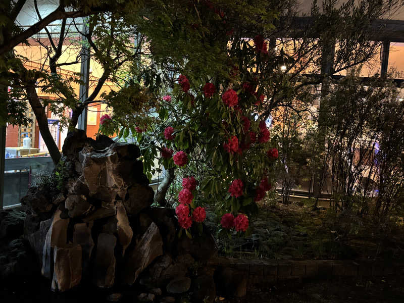 ゆき🍄さんのヨコヤマユーランド緑のサ活写真