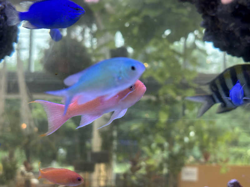 ゆき🍄さんのよみうりランド眺望温泉 花景の湯のサ活写真