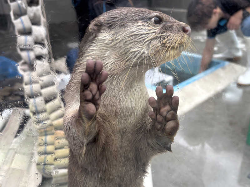 ゆき🍄さんのよみうりランド眺望温泉 花景の湯のサ活写真