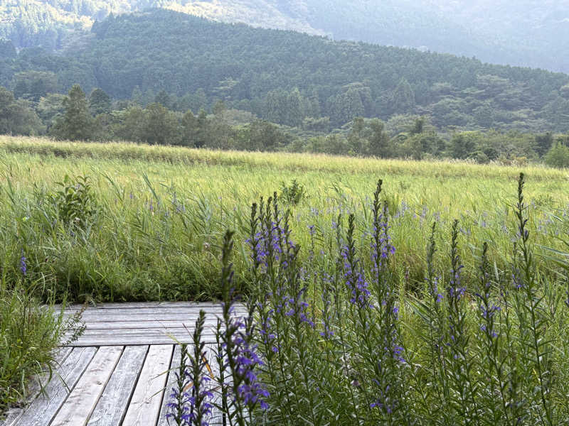 ゆき🍄さんのスパリゾート オアシス御殿場のサ活写真