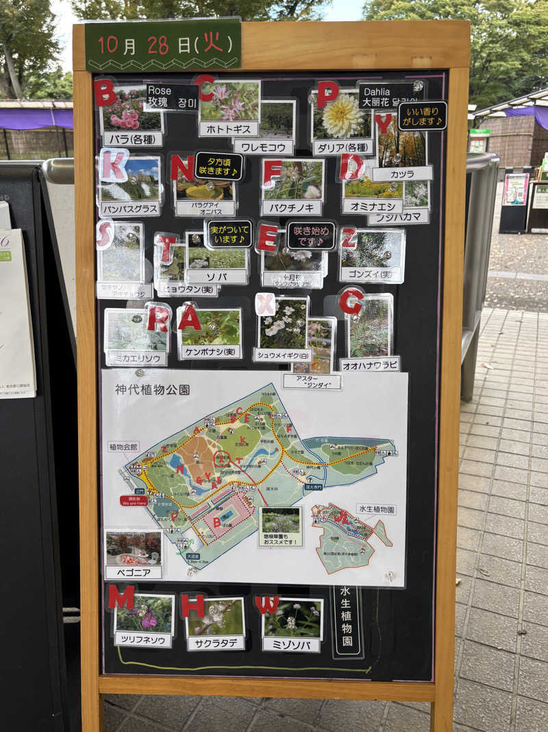 ゆき🍄さんのMONSTER WORK & SAUNAのサ活写真