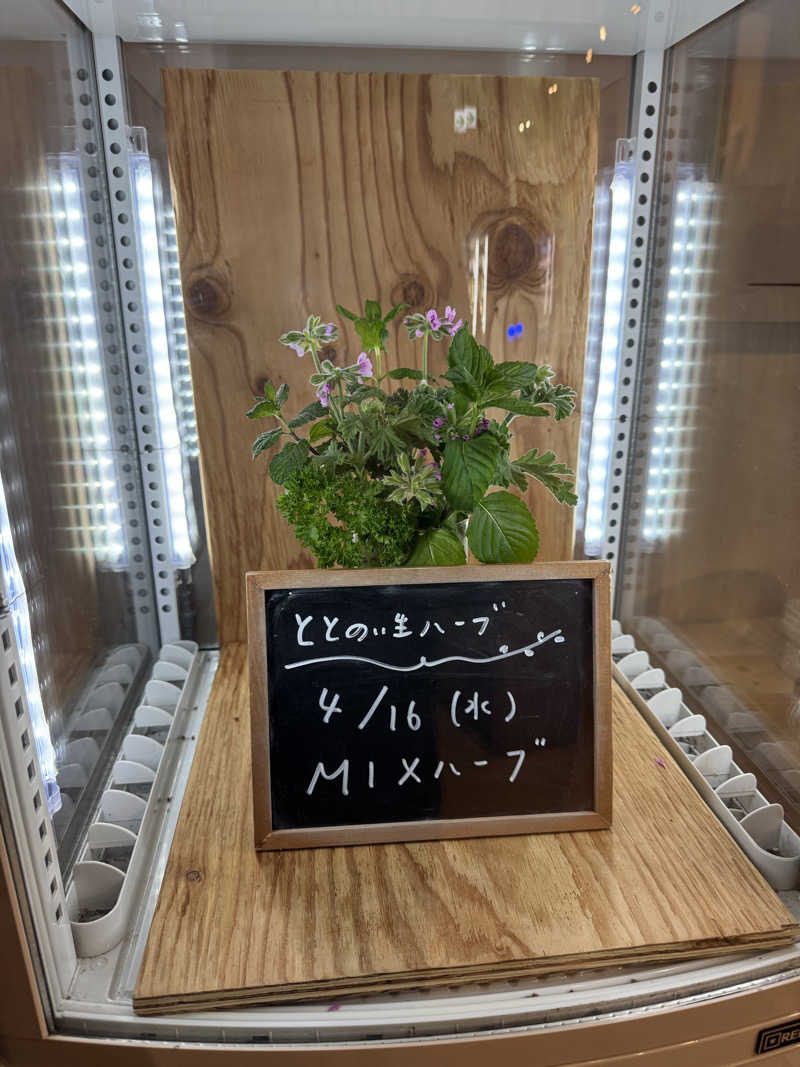 TTTさんの各務原 恵みの湯のサ活写真