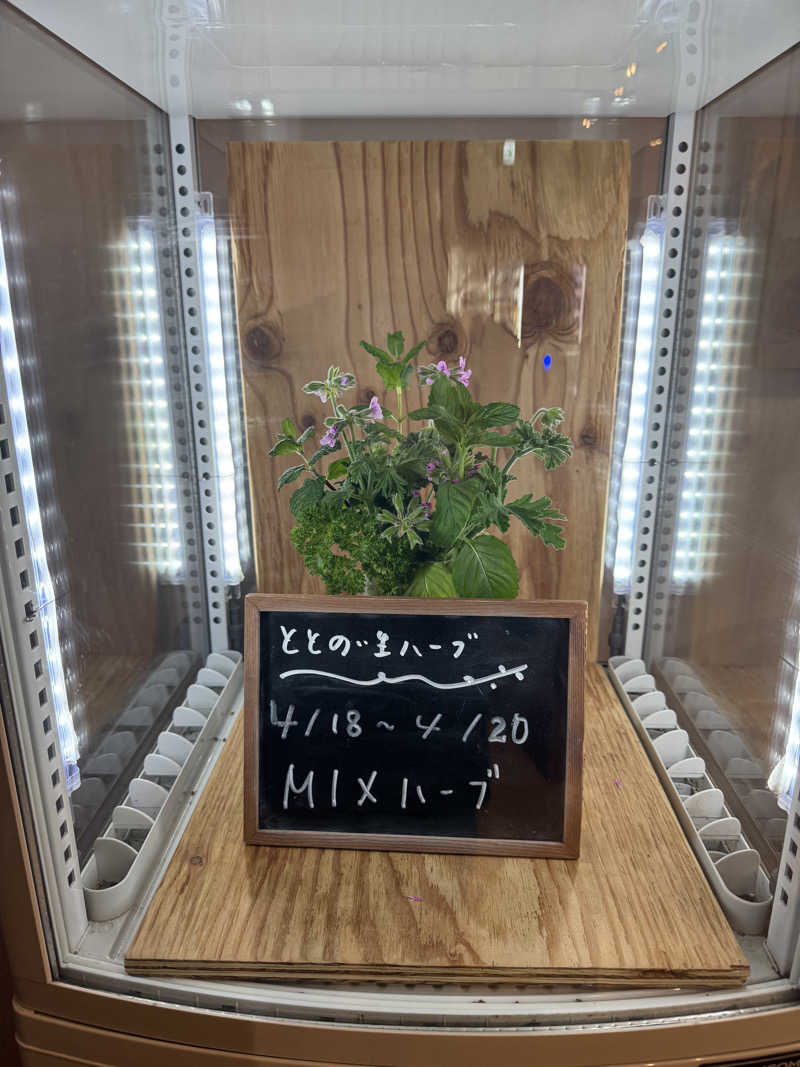 TTTさんの各務原 恵みの湯のサ活写真