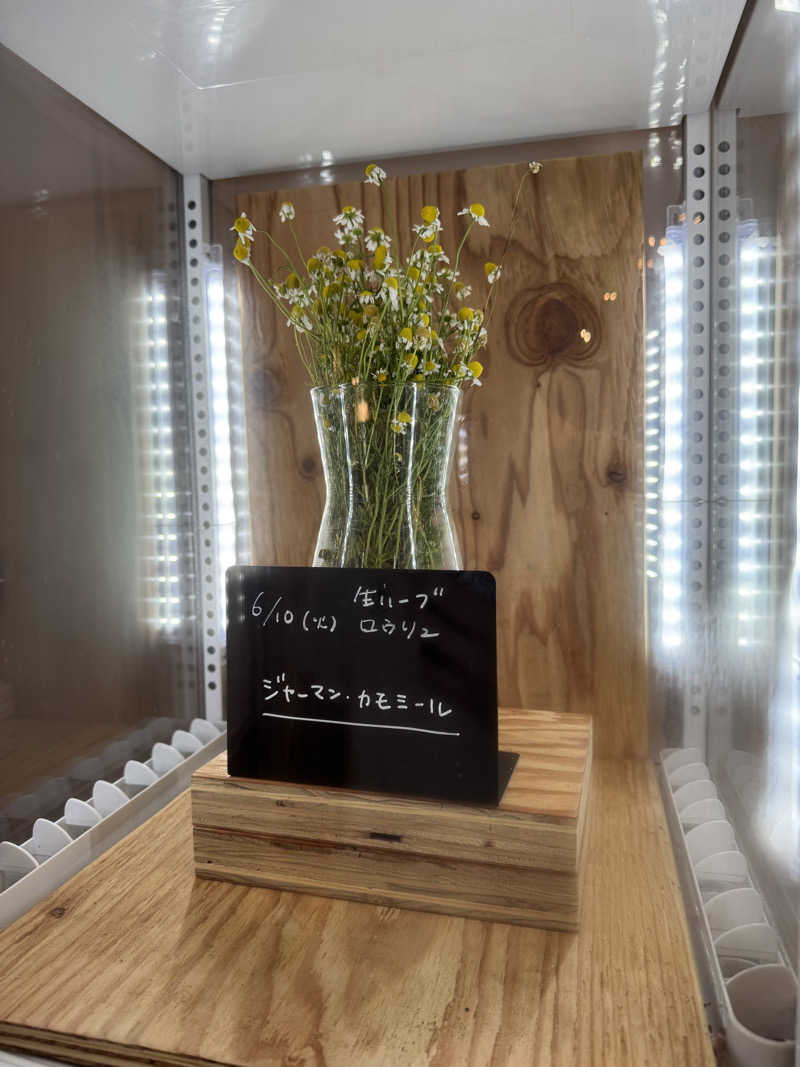 TTTさんの岐阜各務原 恵みの湯のサ活写真