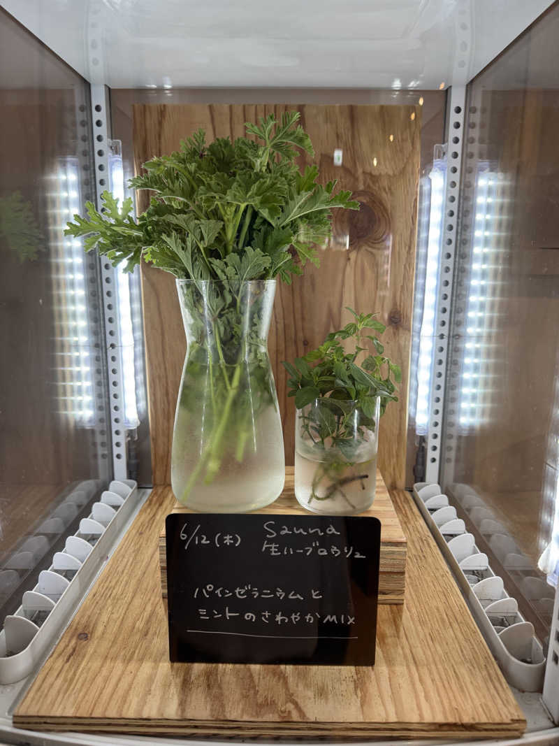 TTTさんの岐阜各務原 恵みの湯のサ活写真