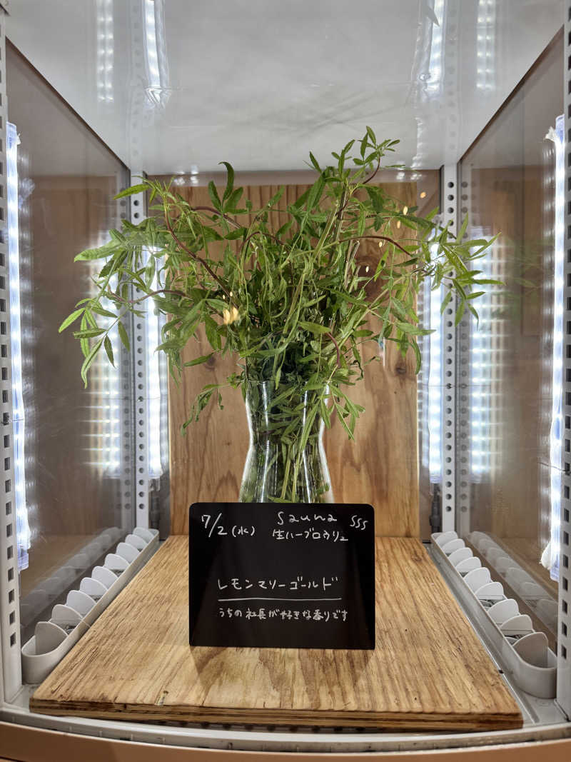 TTTさんの岐阜各務原 恵みの湯のサ活写真