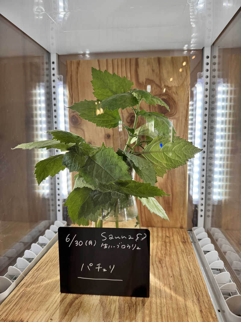 TTTさんの岐阜各務原 恵みの湯のサ活写真