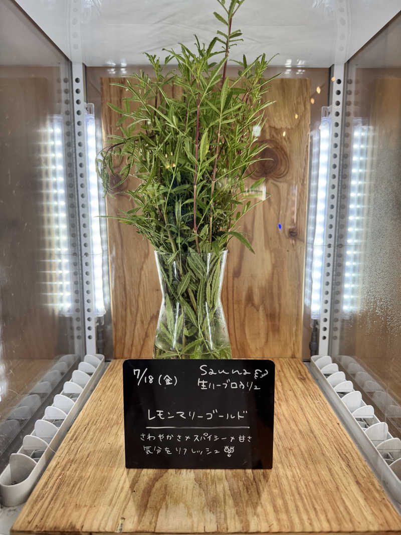 TTTさんの岐阜各務原 恵みの湯のサ活写真