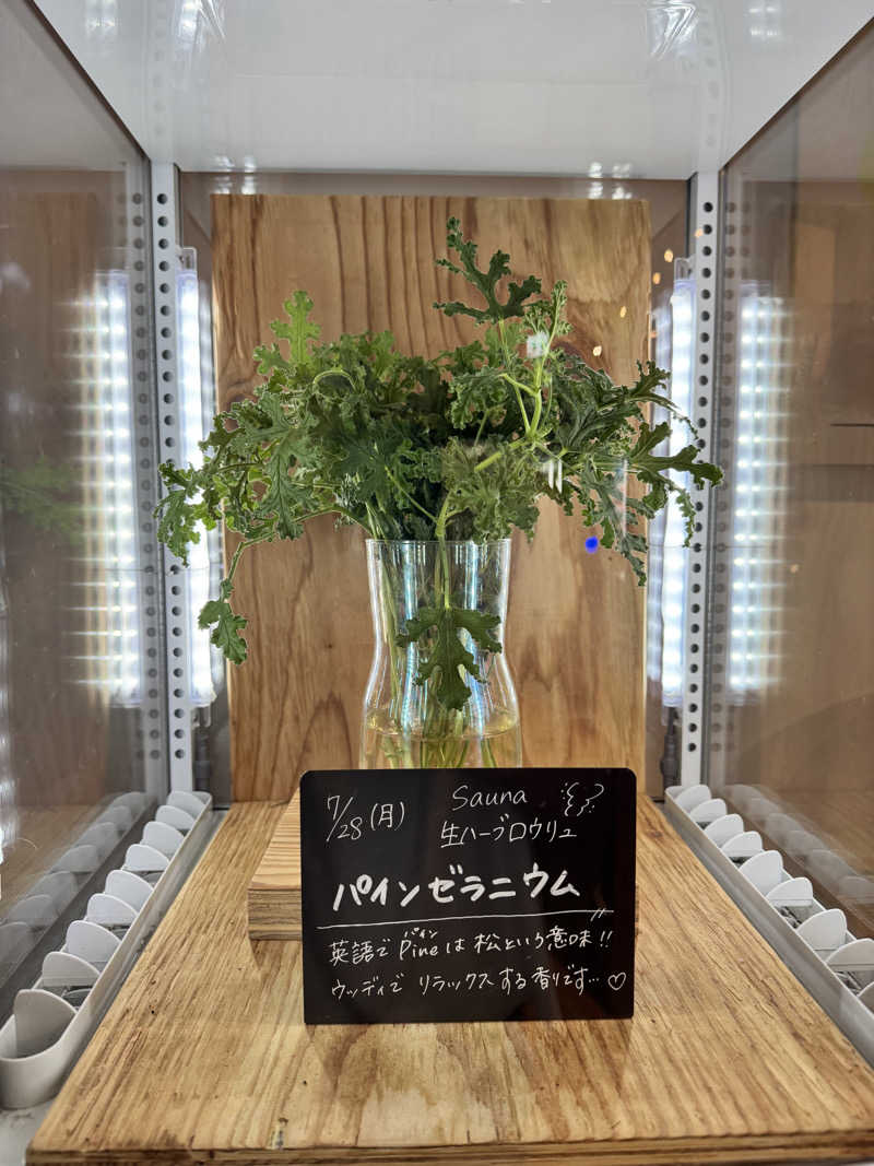 TTTさんの岐阜各務原 恵みの湯のサ活写真