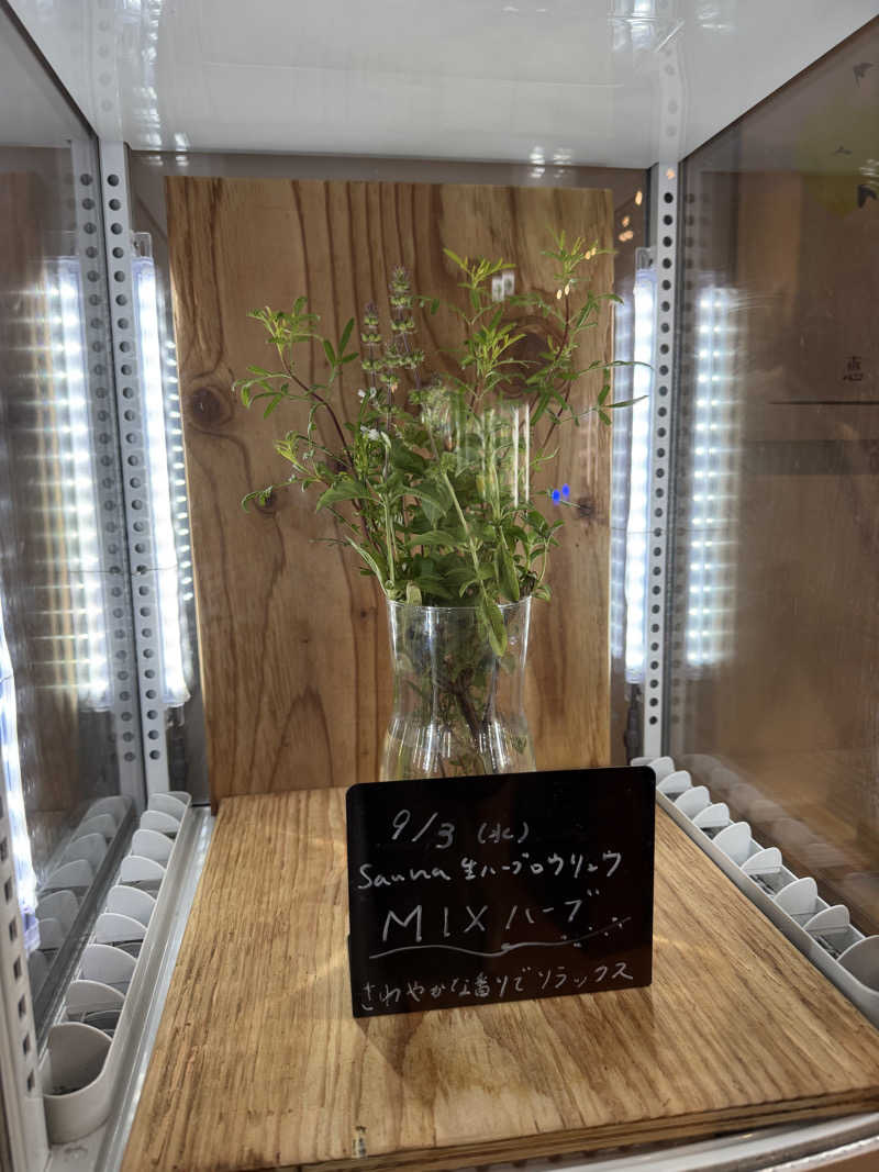 TTTさんの岐阜各務原 恵みの湯のサ活写真