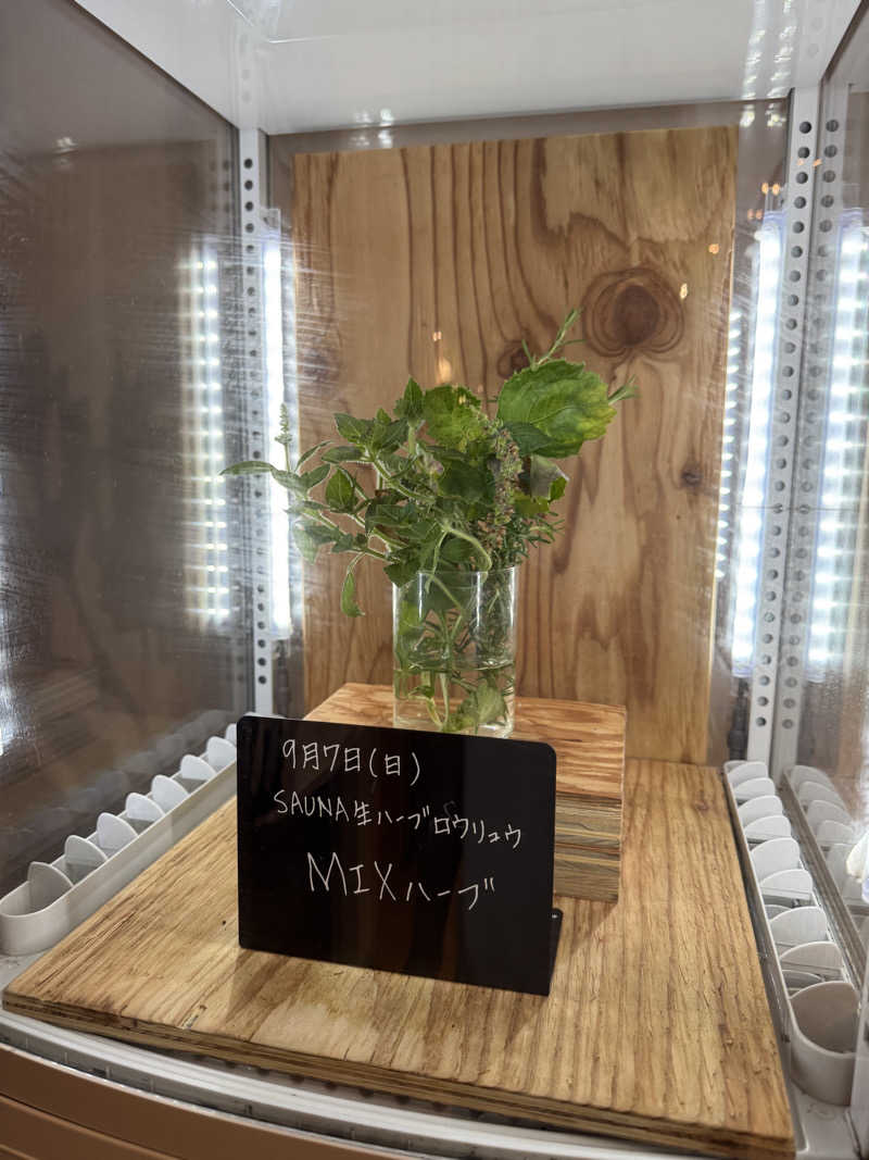 TTTさんの岐阜各務原 恵みの湯のサ活写真