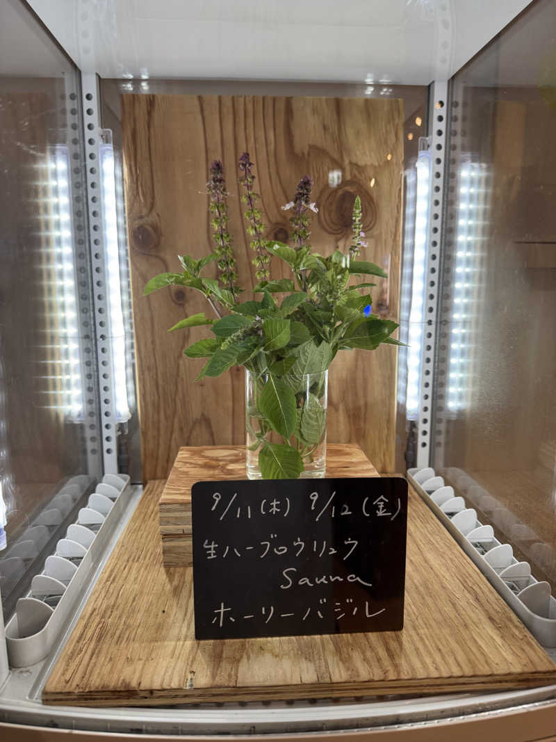 TTTさんの岐阜各務原 恵みの湯のサ活写真