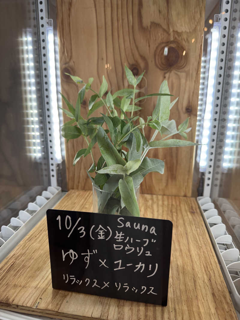 TTTさんの岐阜各務原 恵みの湯のサ活写真