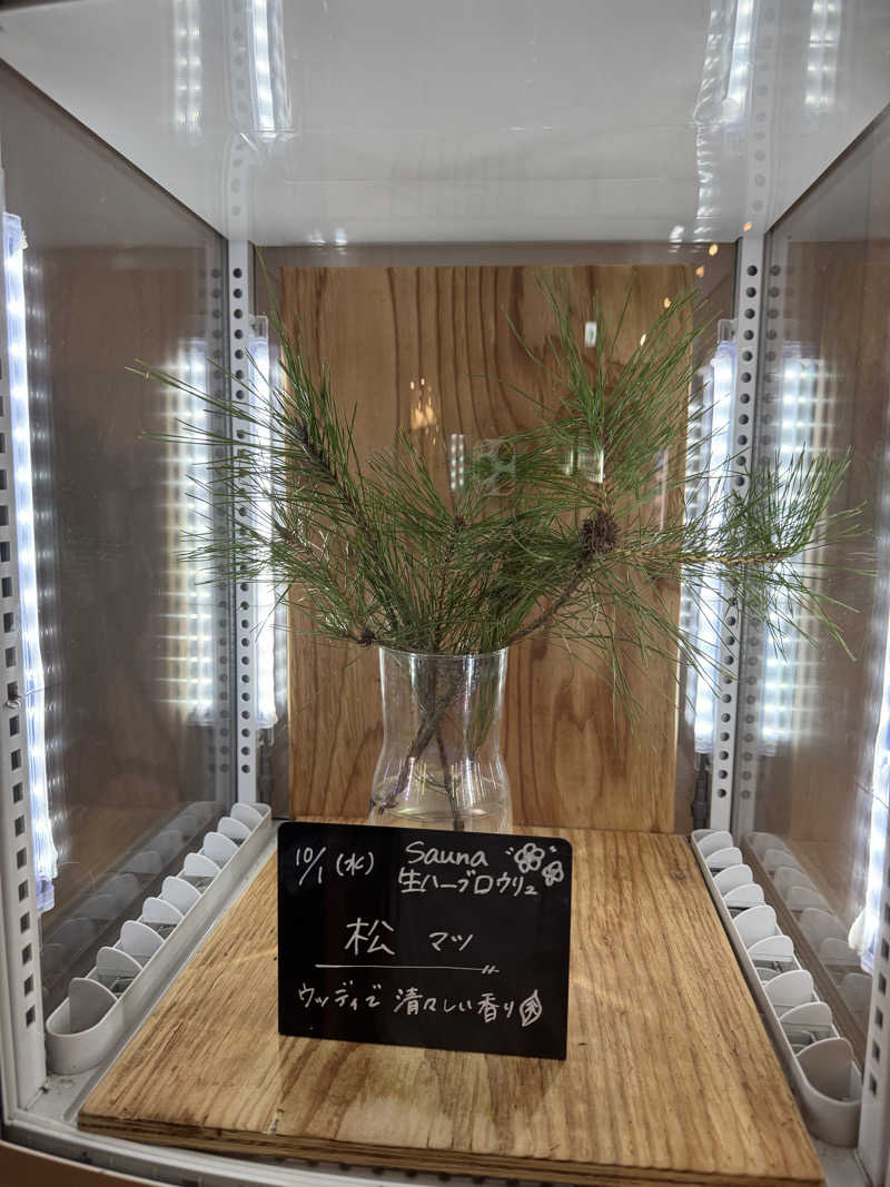 TTTさんの岐阜各務原 恵みの湯のサ活写真