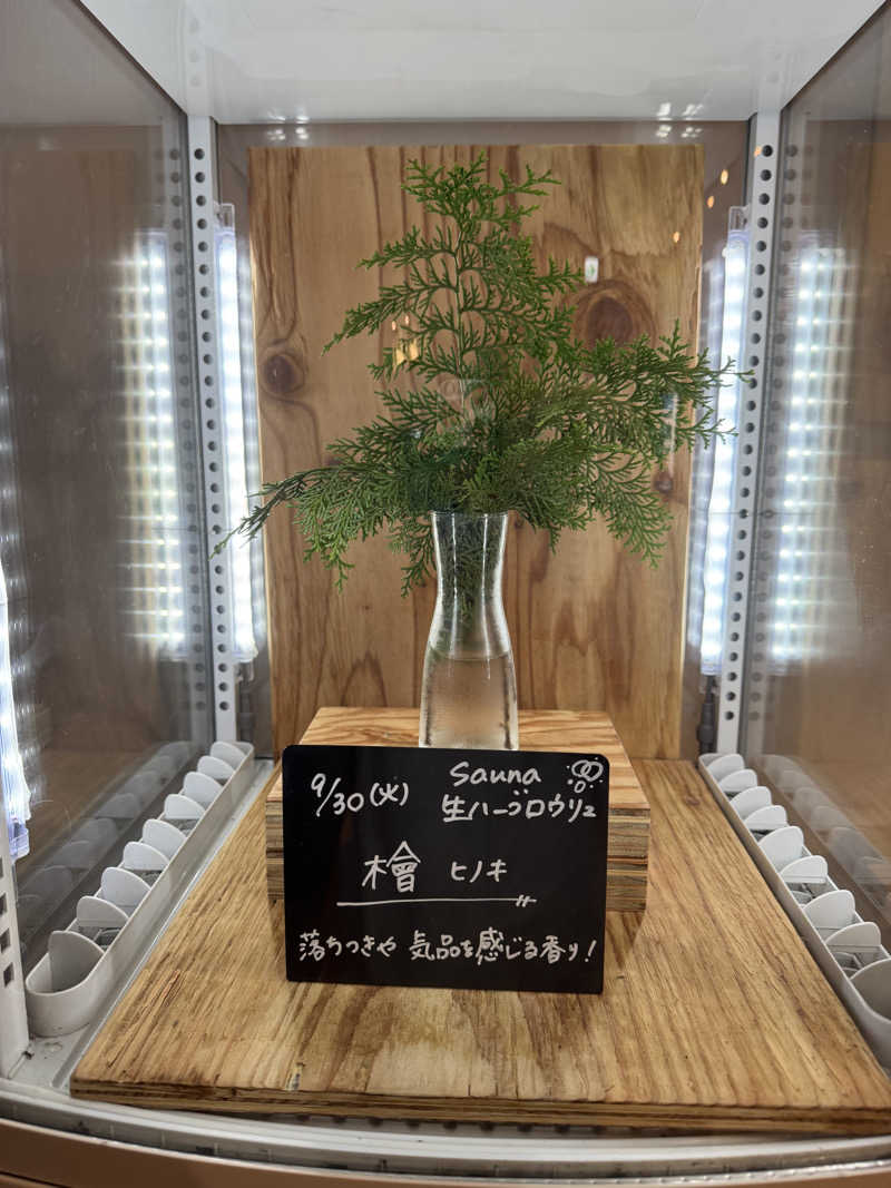 TTTさんの岐阜各務原 恵みの湯のサ活写真