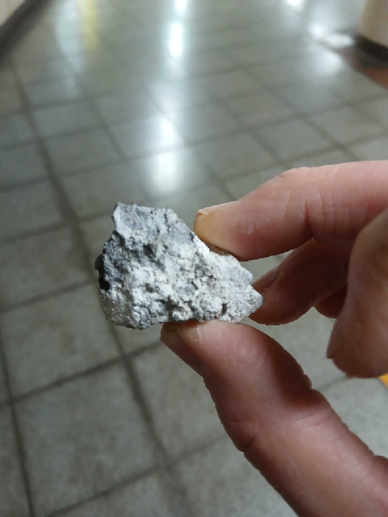 なおさんの生姜サウナ 金の亀のサ活写真