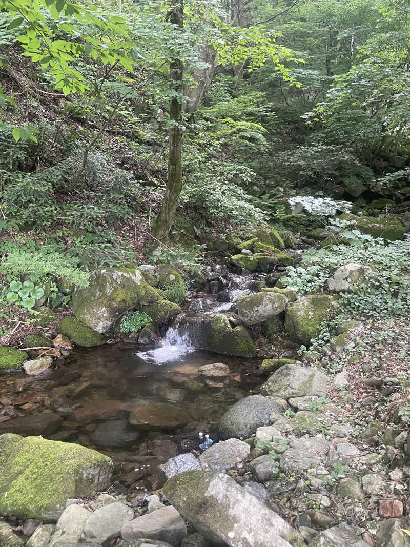 かけるさんの瑞穂ハイランドのサ活写真