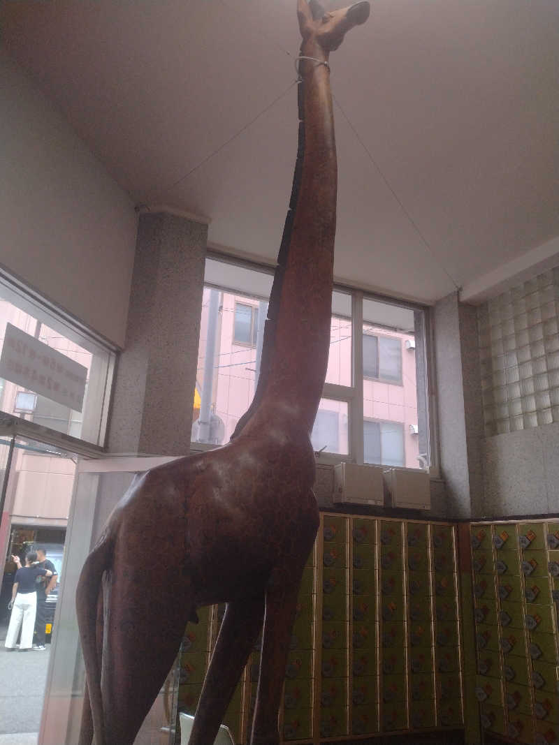 ゲコ太さんの新世界ラジウム温泉のサ活写真