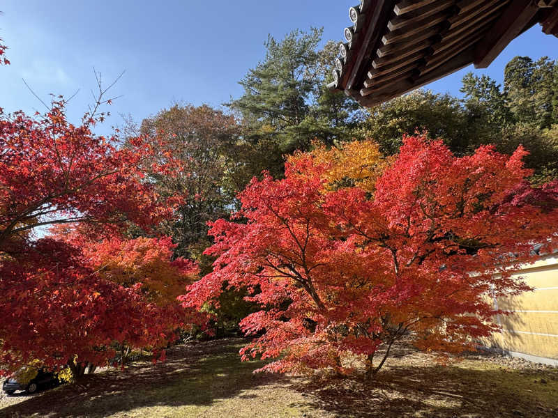 だいきちさんの光信寺の湯 ゆっくらのサ活写真