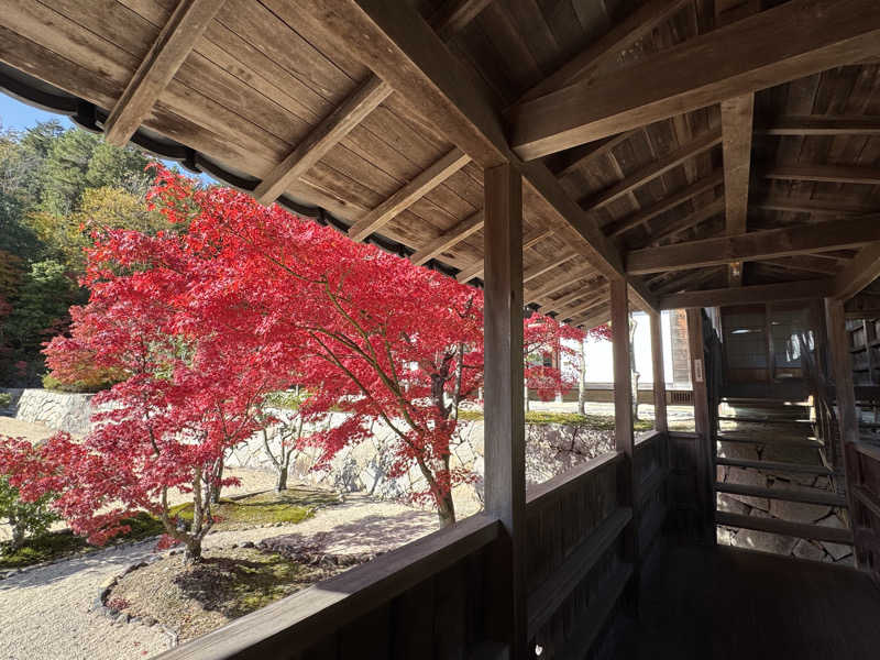 だいきちさんの光信寺の湯 ゆっくらのサ活写真
