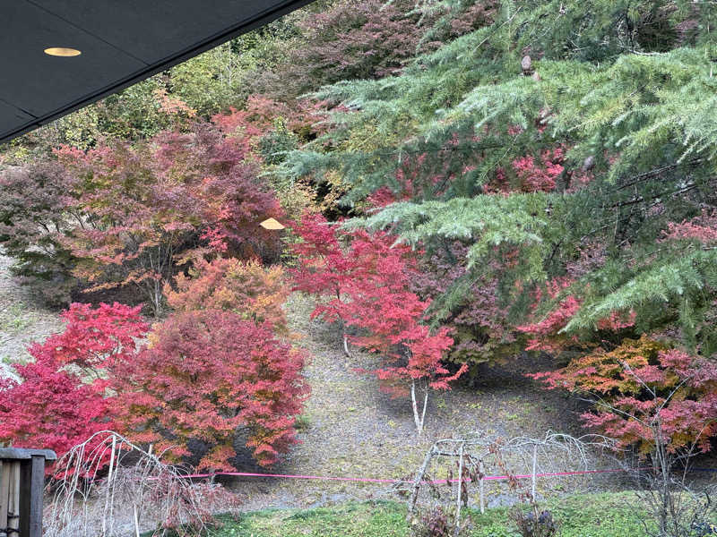 だいきちさんの光信寺の湯 ゆっくらのサ活写真