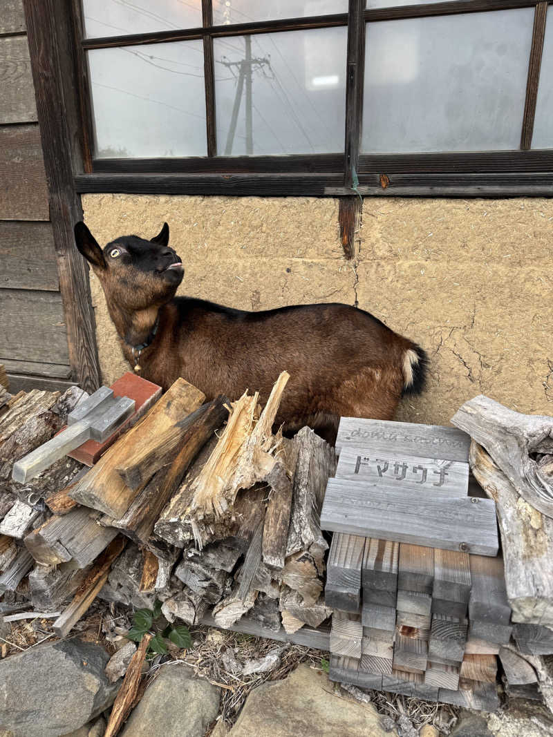 87【UNSAA・EN・たからゆPD】さんのDOMA SAUNAのサ活写真