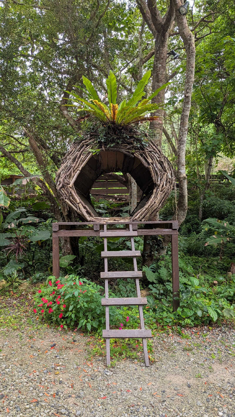 竜犬さんの亜熱帯サウナのサ活写真