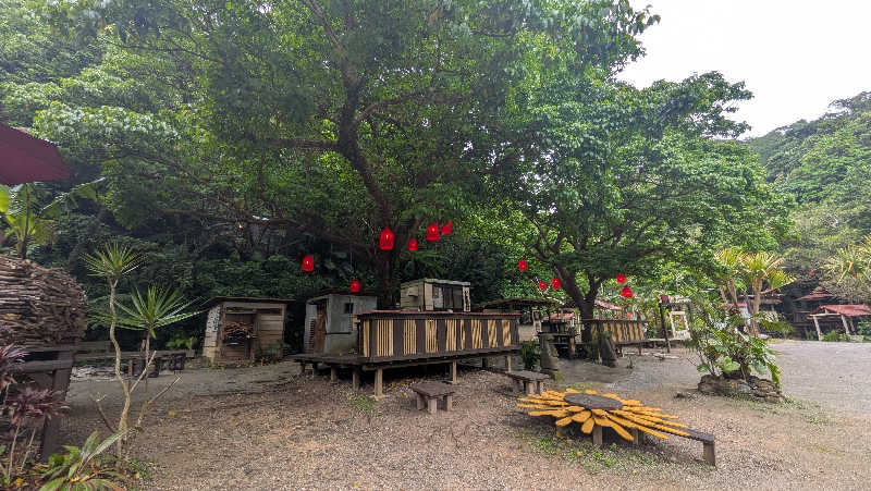 竜犬さんの亜熱帯サウナのサ活写真