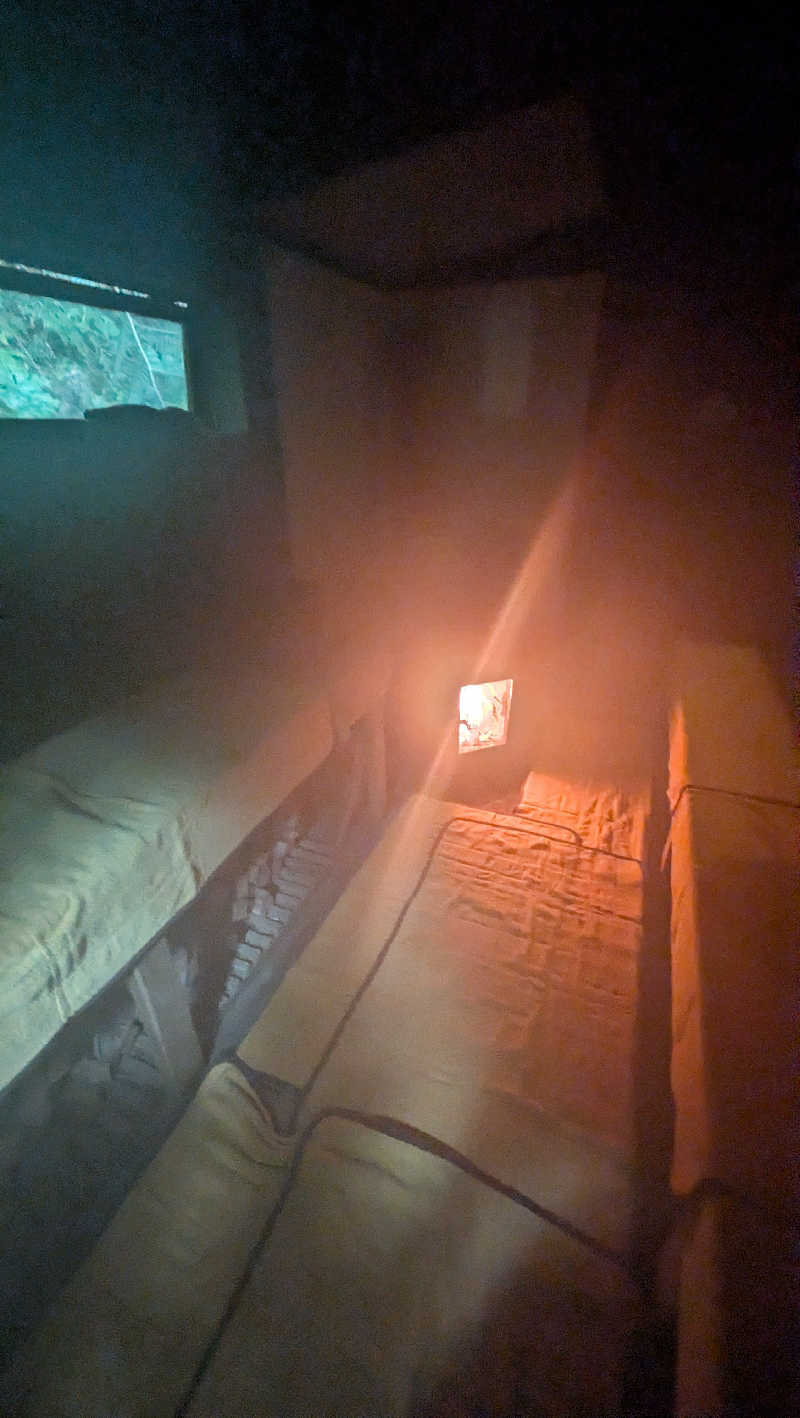 竜犬さんの亜熱帯サウナのサ活写真